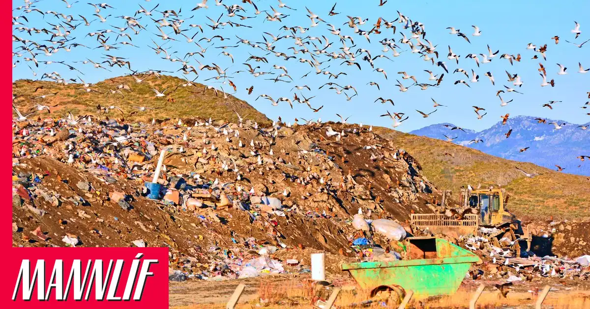 Ruslahaugur í Argentínu talinn upprunastaður hantaveirusmits á skemmtiferðaskipi