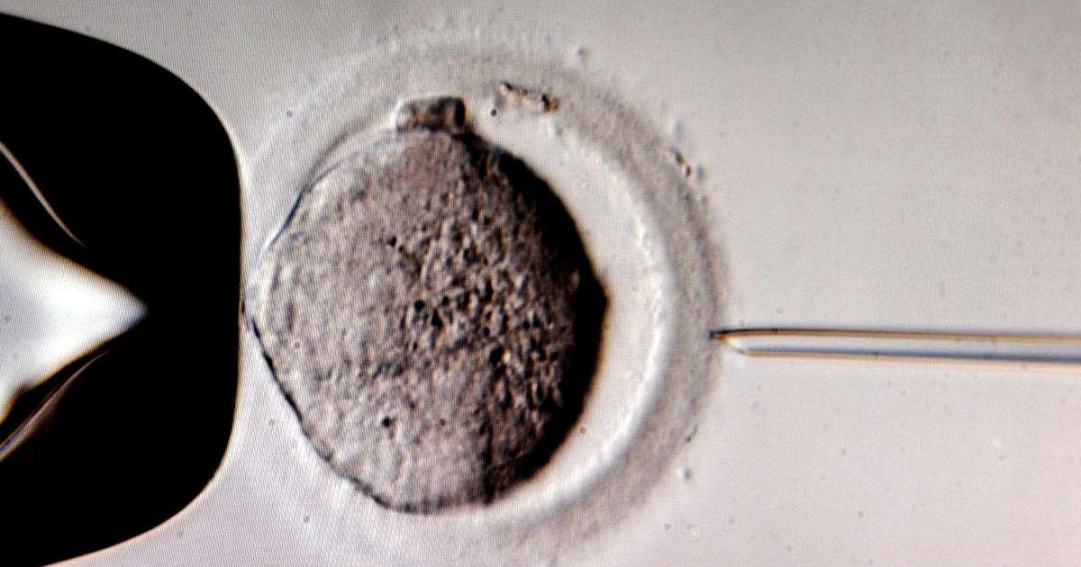 Sæði yfir 70 gjafa hefur verið tekið úr notkun vegna erfða- og genagalla