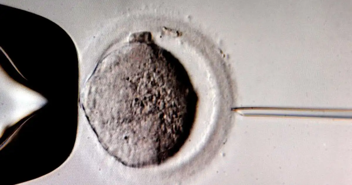 Sæði yfir 70 gjafa hefur verið tekið úr notkun vegna erfða- og genagalla