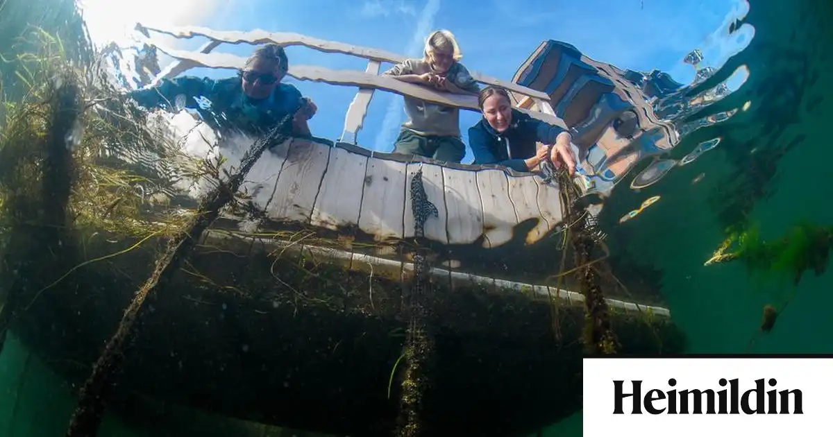 Samfélagsgarður í sjónum