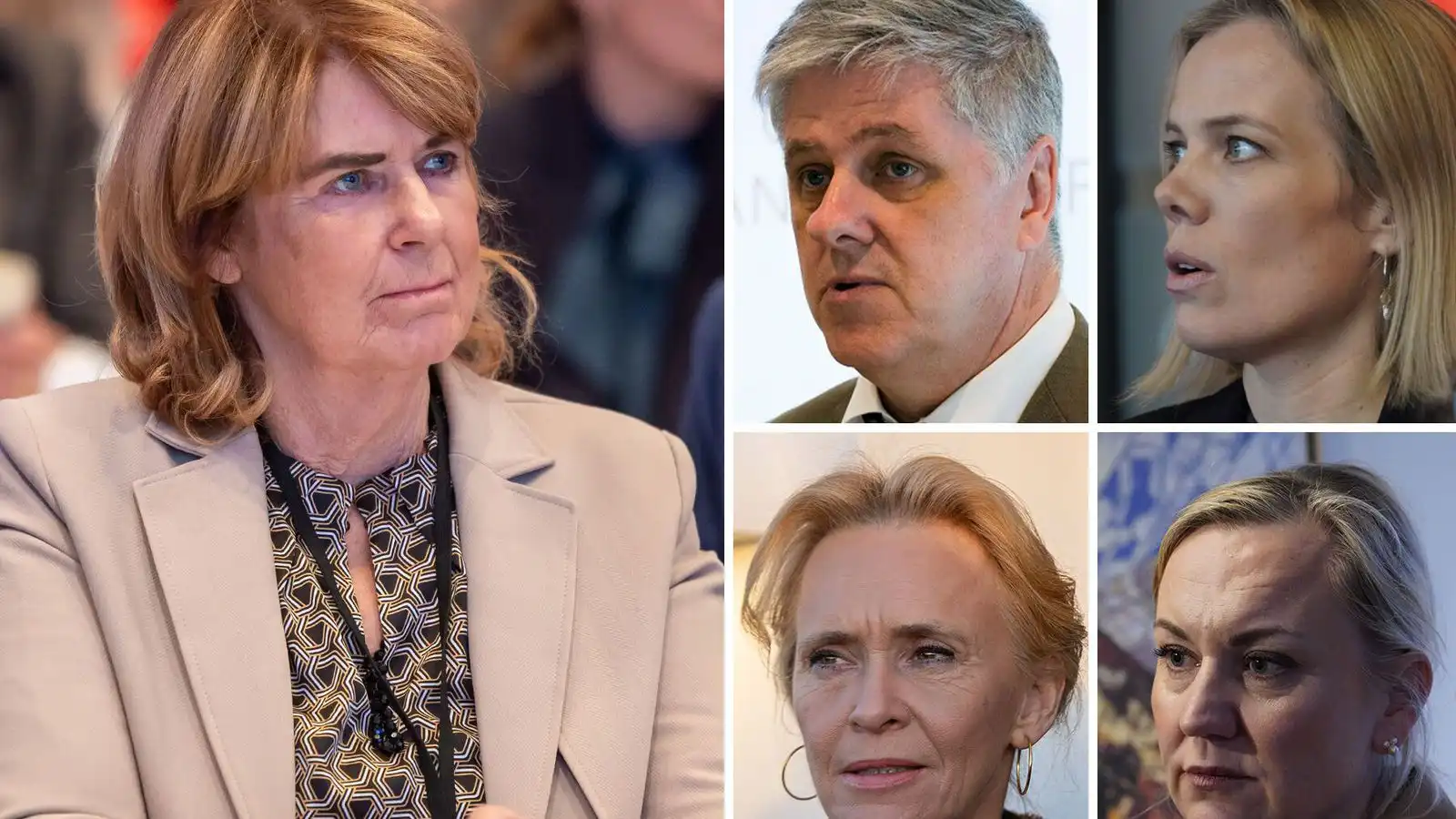 Sam­fylkingin kveinkar sér undan stór­skota­hríð Við­reisnar - Vísir