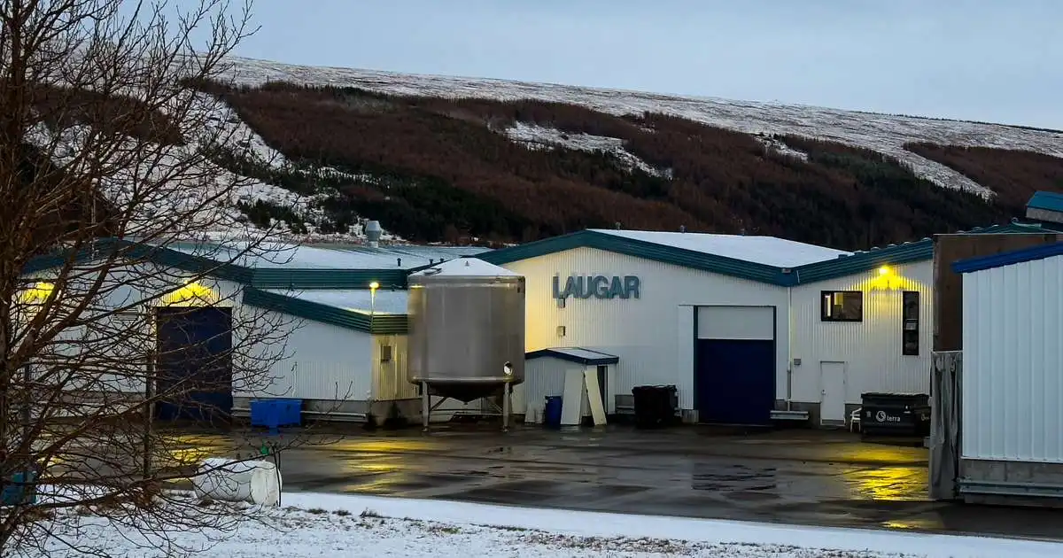Samherji gæti hafið fiskþurrkun á nýjan leik á bráðabirgðaleyfi