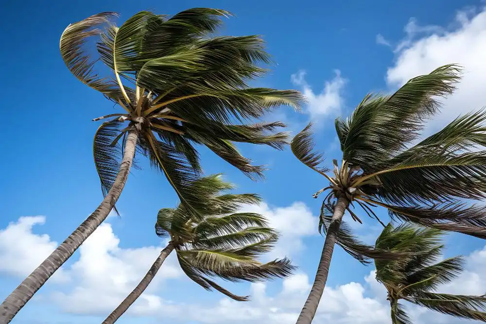 SATURDAY WEATHER: Sunny but windy in the Canary Islands