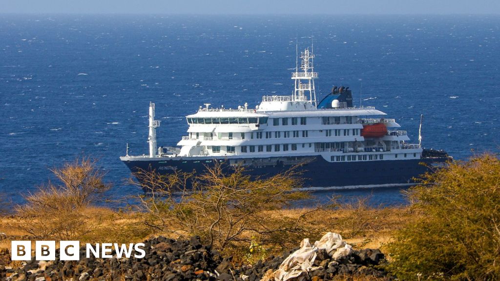 Second hantavirus case confirmed after deaths on cruise ship