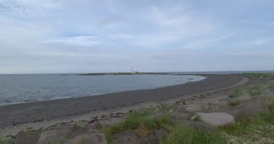 Segja friðlýsingu Gróttu og Seltjarnar ganga of langt