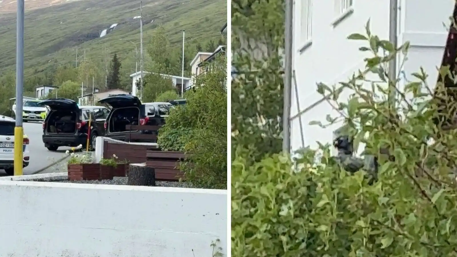 Sérsveitaraðgerð á Eski­firði - Vísir