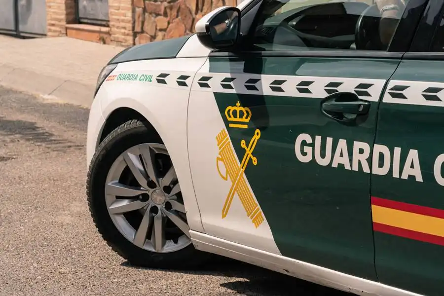 Sick dog dies in Gran Canaria after owners gave it Ibuprofen
