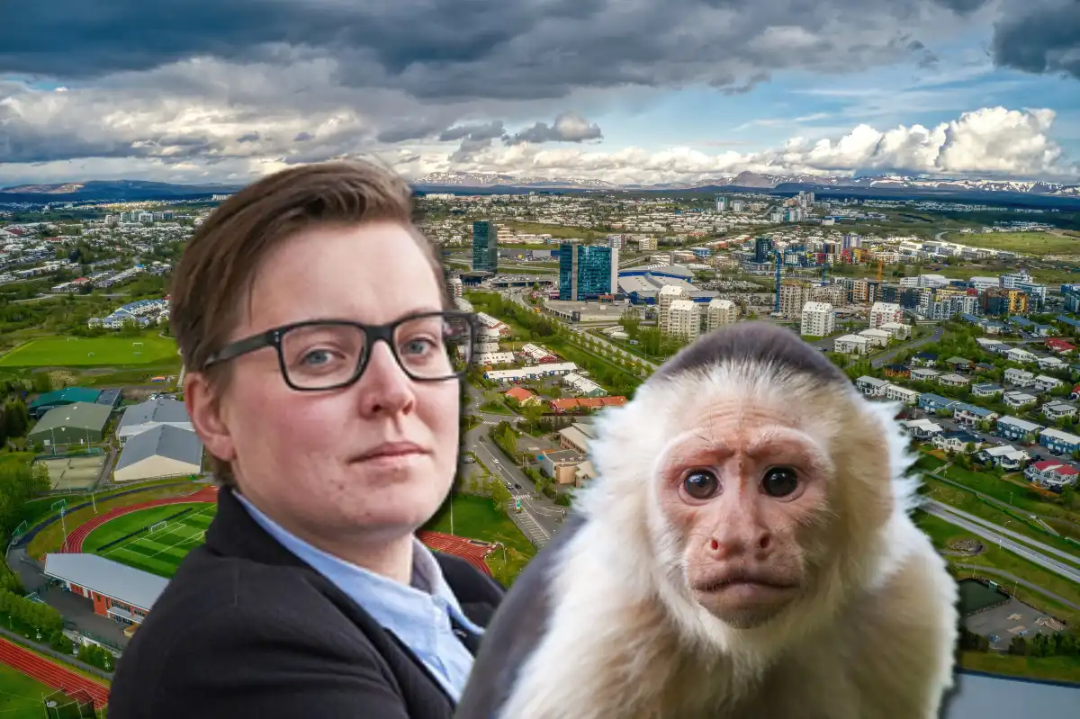 Sigríður leitar að fólki sem sá apann sem bjó í Kópavogi