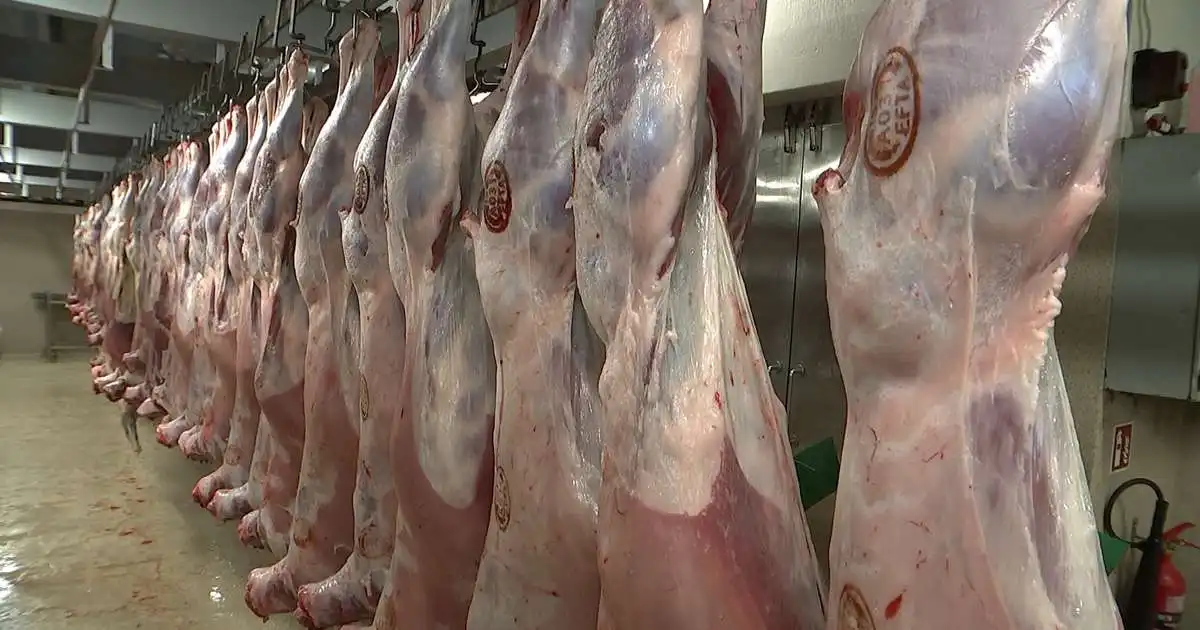 Skaffa ríflega 100 erlendum verkamönnum húsnæði í sláturtíð