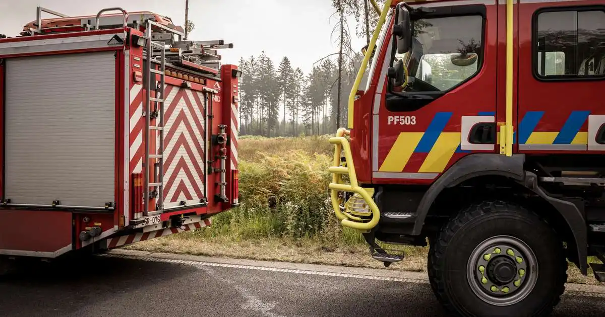 Skógareldar í Belgíu þeir verstu í sögu landsins