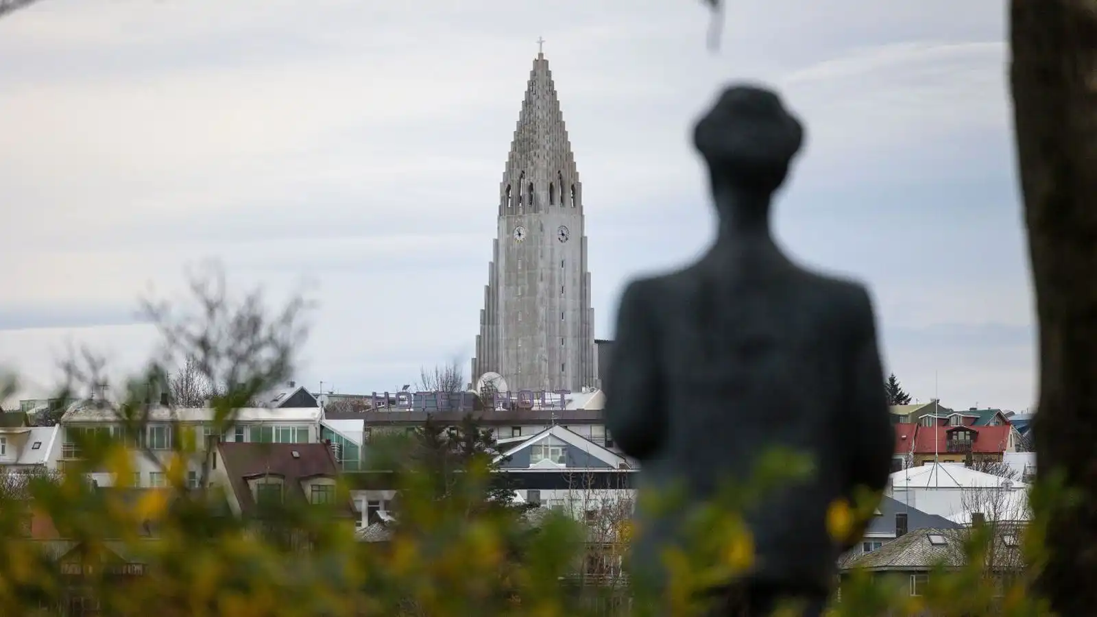 Skráðum fé­lögum í Nýju Avalon fjölgaði um 575 prósent - Vísir