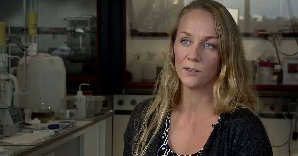 Skylt að afhenda skýrslurnar á grundvelli upplýsingalaga