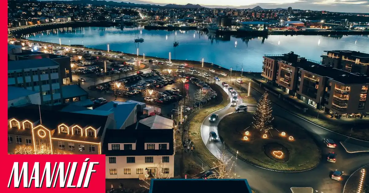 Slagsmálahundar í Hafnarfirði