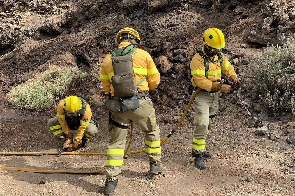 Small forest fire quickly brought under control in Tenerife