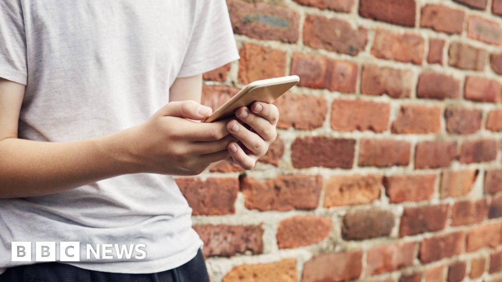 Social media restrictions for under-16s even if no ban, minister says