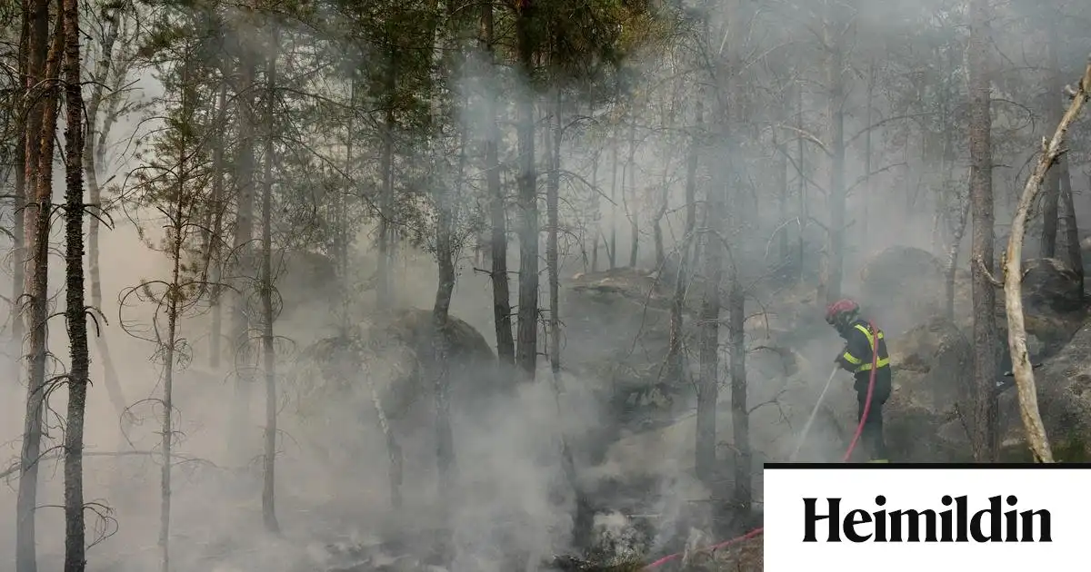 Sögulegur skógur fyrir utan París brennur í eldinum