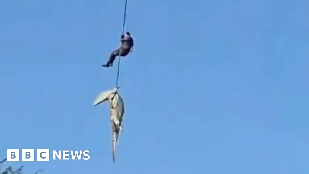 South African police officer lowered into crocodile-infested river to recover human remains