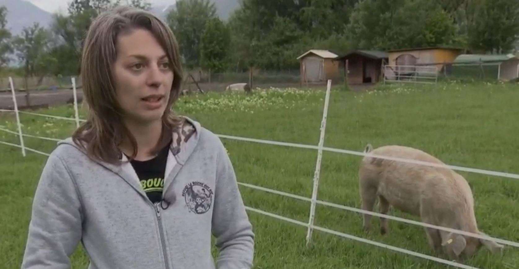 Starfsfólk dýraathvarfs í uppnámi – Maður krafðist þess að fá að hafa samfarir við dýrin