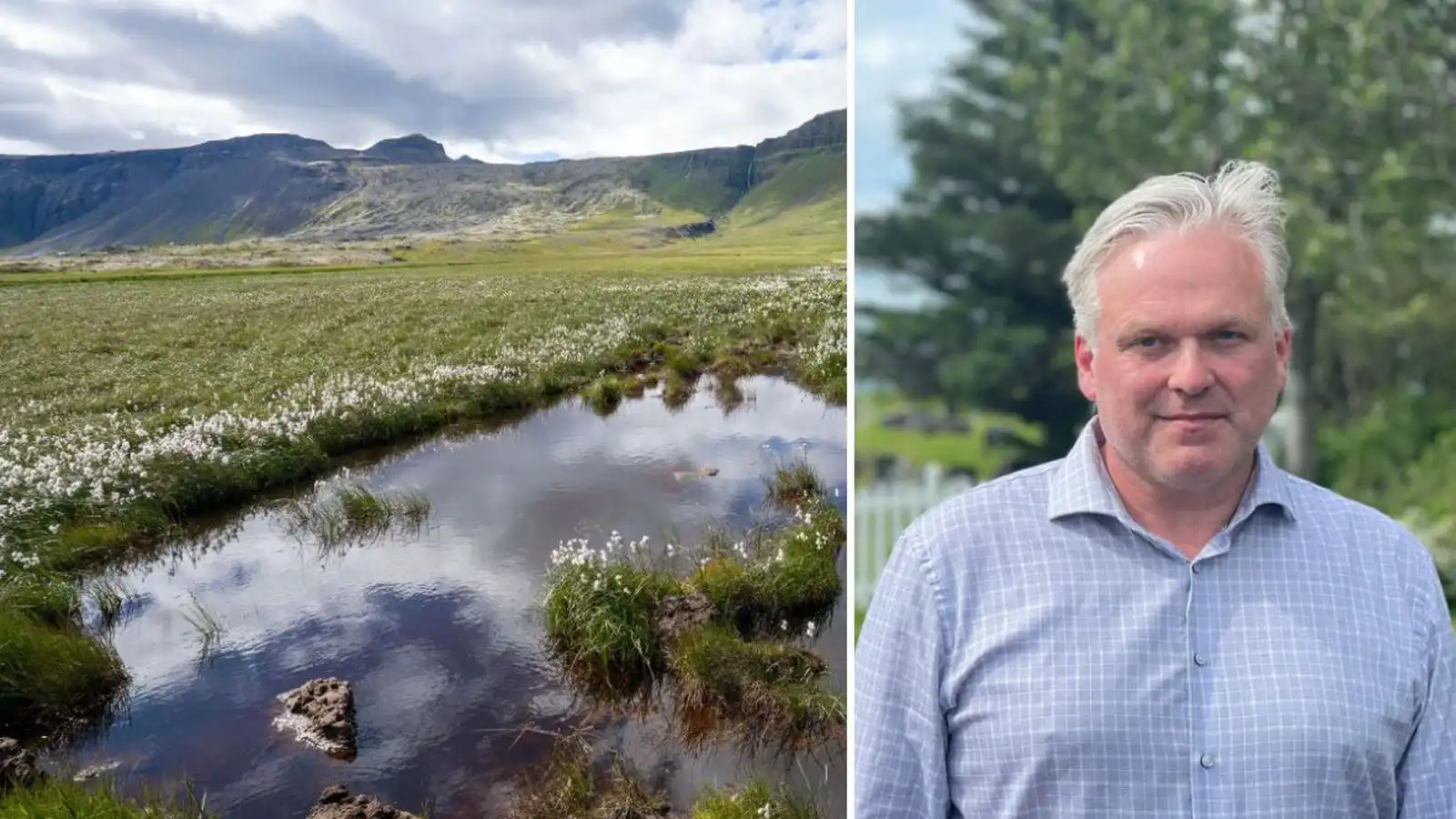 Stefna á þrjú þúsund hektara en endur­heimtu þrettán - Vísir