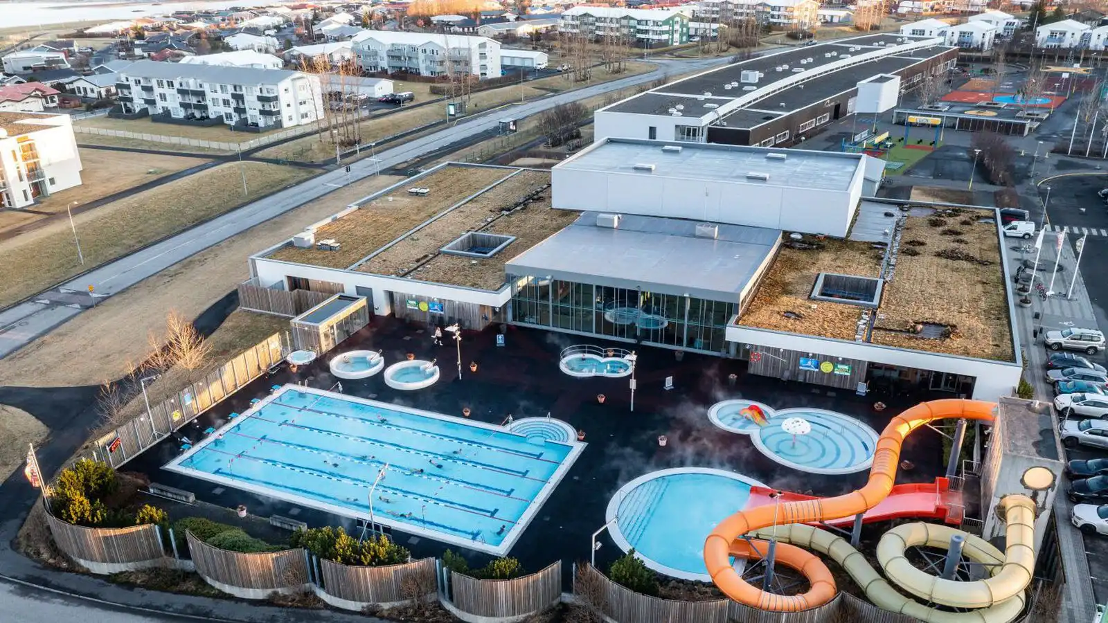 Stungan leiddi til skurðar - Vísir