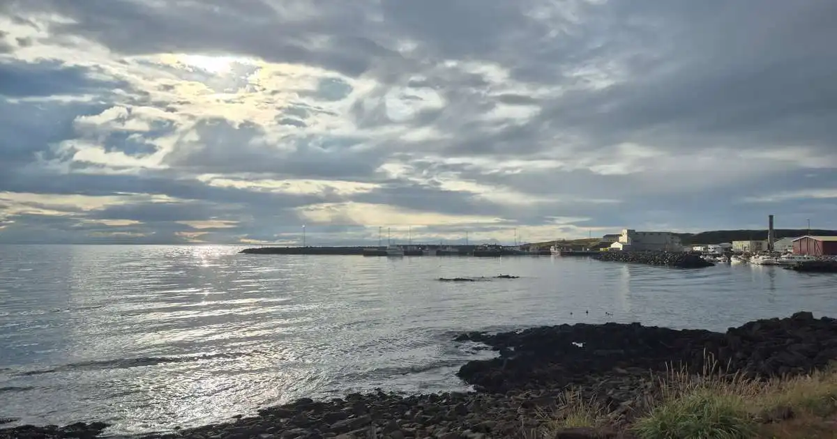 „Svaraði enginn“ þegar hann reyndi að hringja á sjúkrabíl