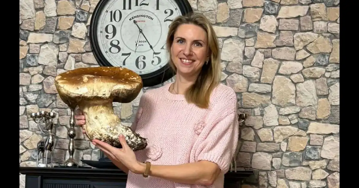 Svepparisi fannst í Heiðmörk