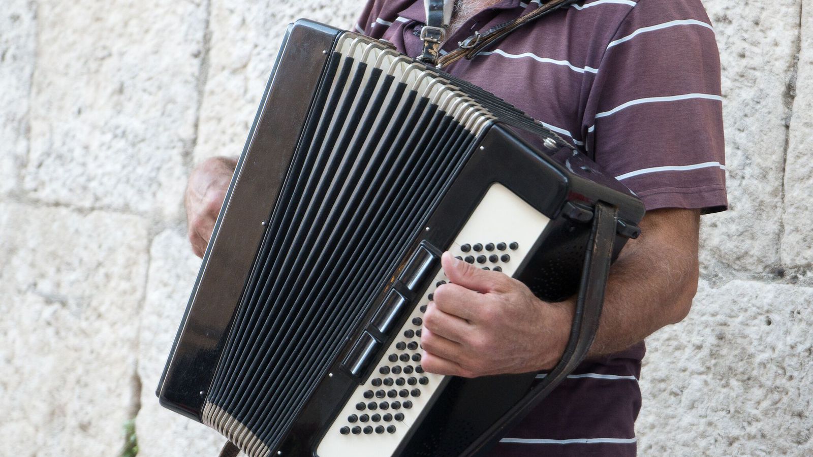 Sýknaður af á­kæru fyrir ítrekaðan harmonikkuleik - Vísir
