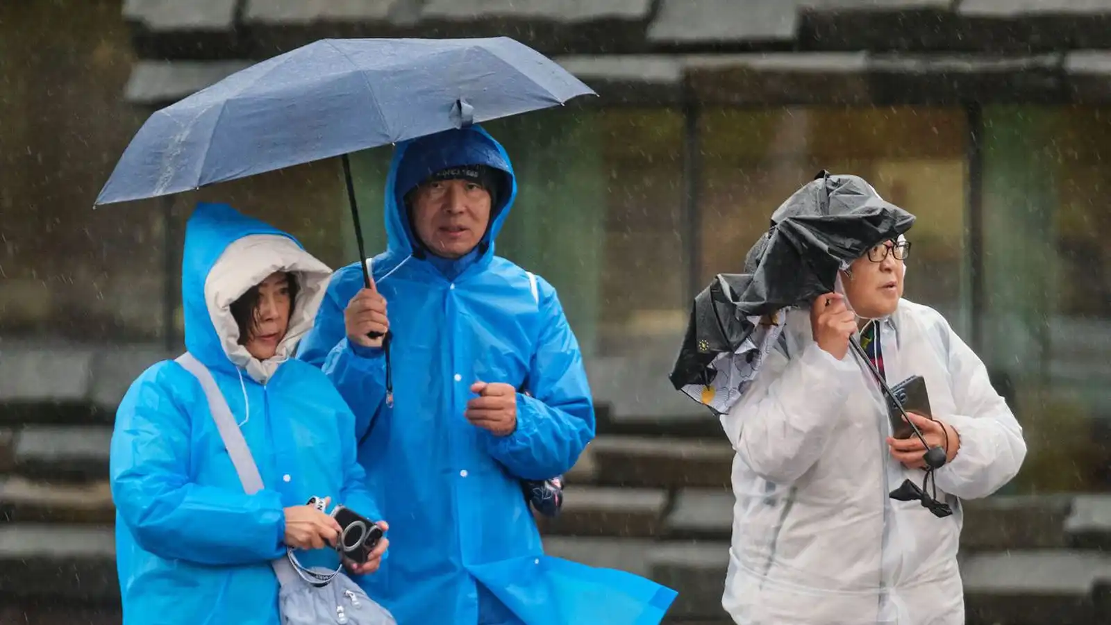 Tals­verð rigning næstu daga - Vísir