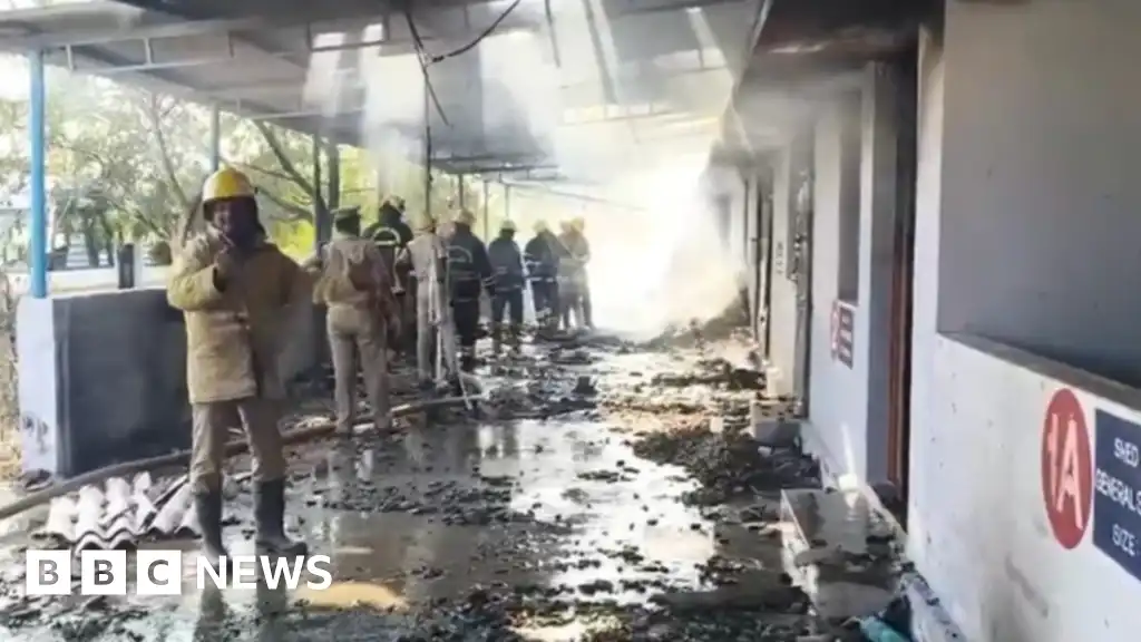 Tamil Nadu: Firecracker factory blast in India state kills at least 25