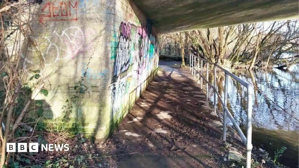Teen rape victim speaks of 'lasting pain' as Fordingbridge review begins