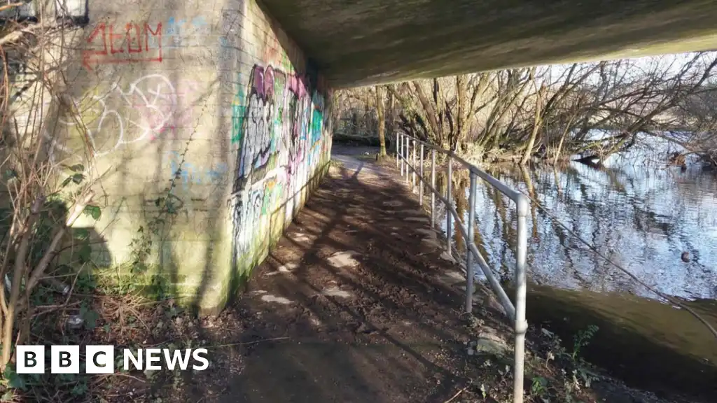 Teenage boys sentence for raping lone girls in Fordingbridge 'too lenient'