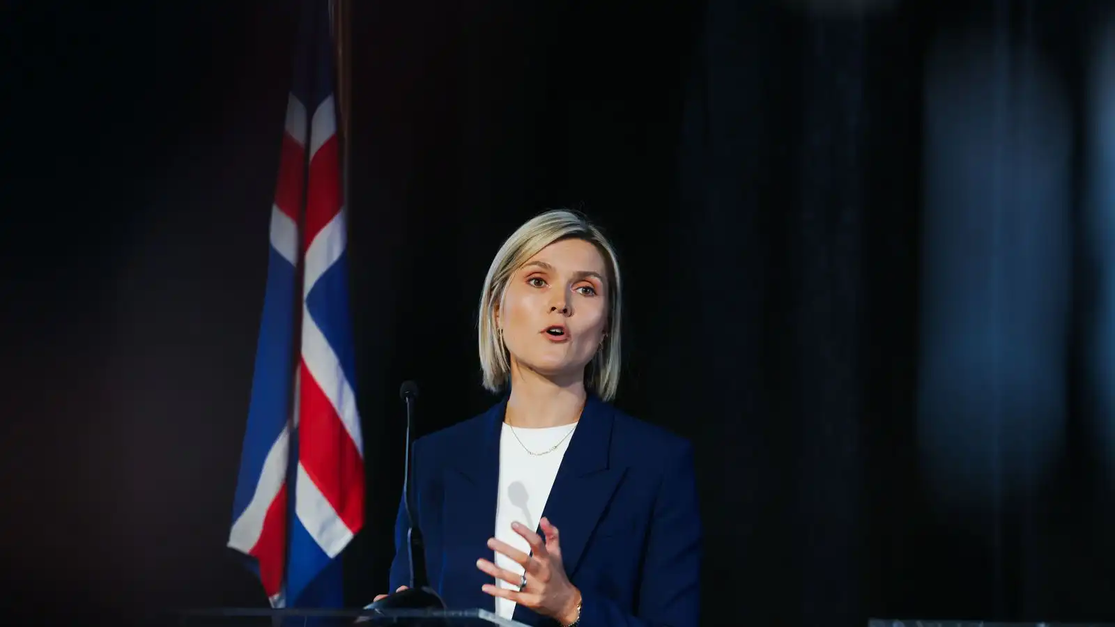 Telja þjóðar­at­kvæða­greiðsluna hafa styrkt Sam­fylkinguna - Vísir