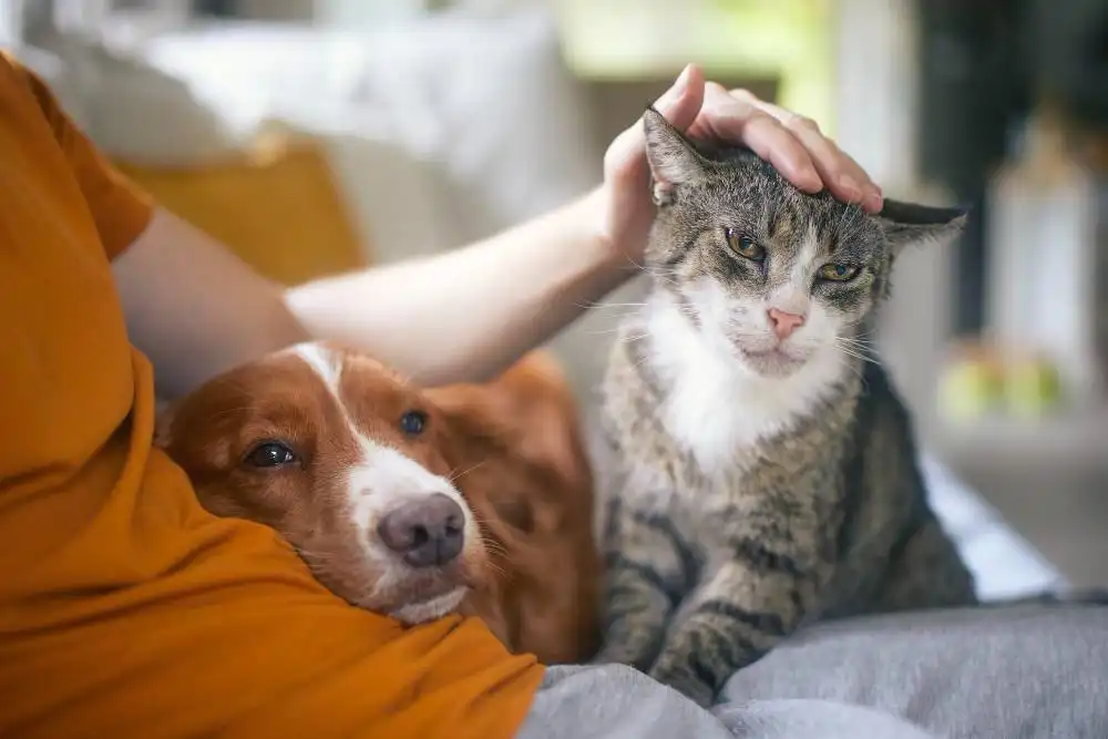The Most Popular Pet Trends in 2026