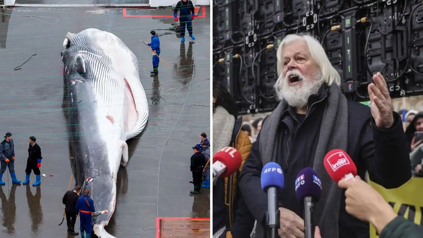 „Þegar við komum til Ís­lands munum við stöðva hann“ - Vísir