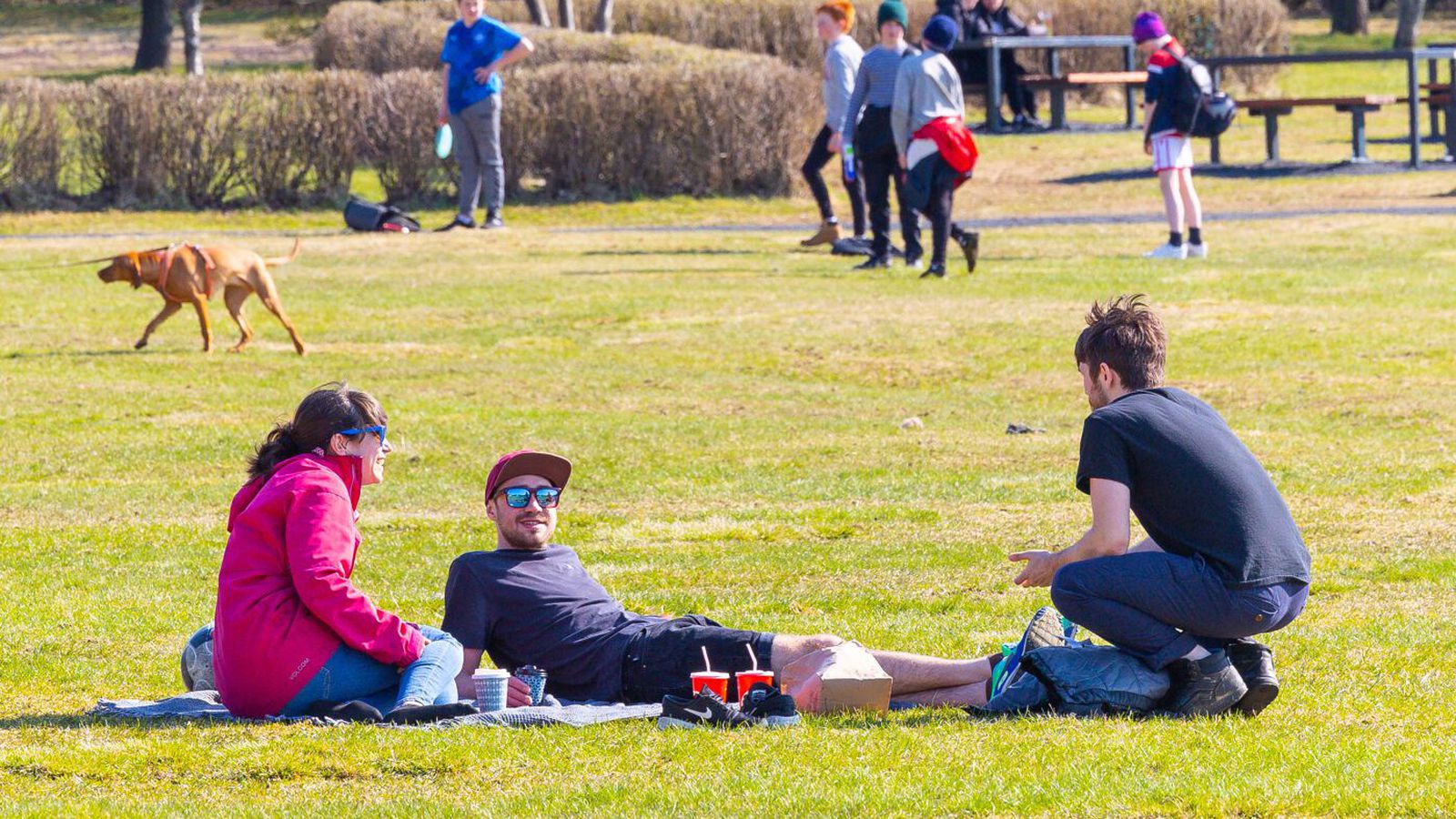 Þeirri gulu mis­jafnt skipt á fyrsta degi sumars - Vísir