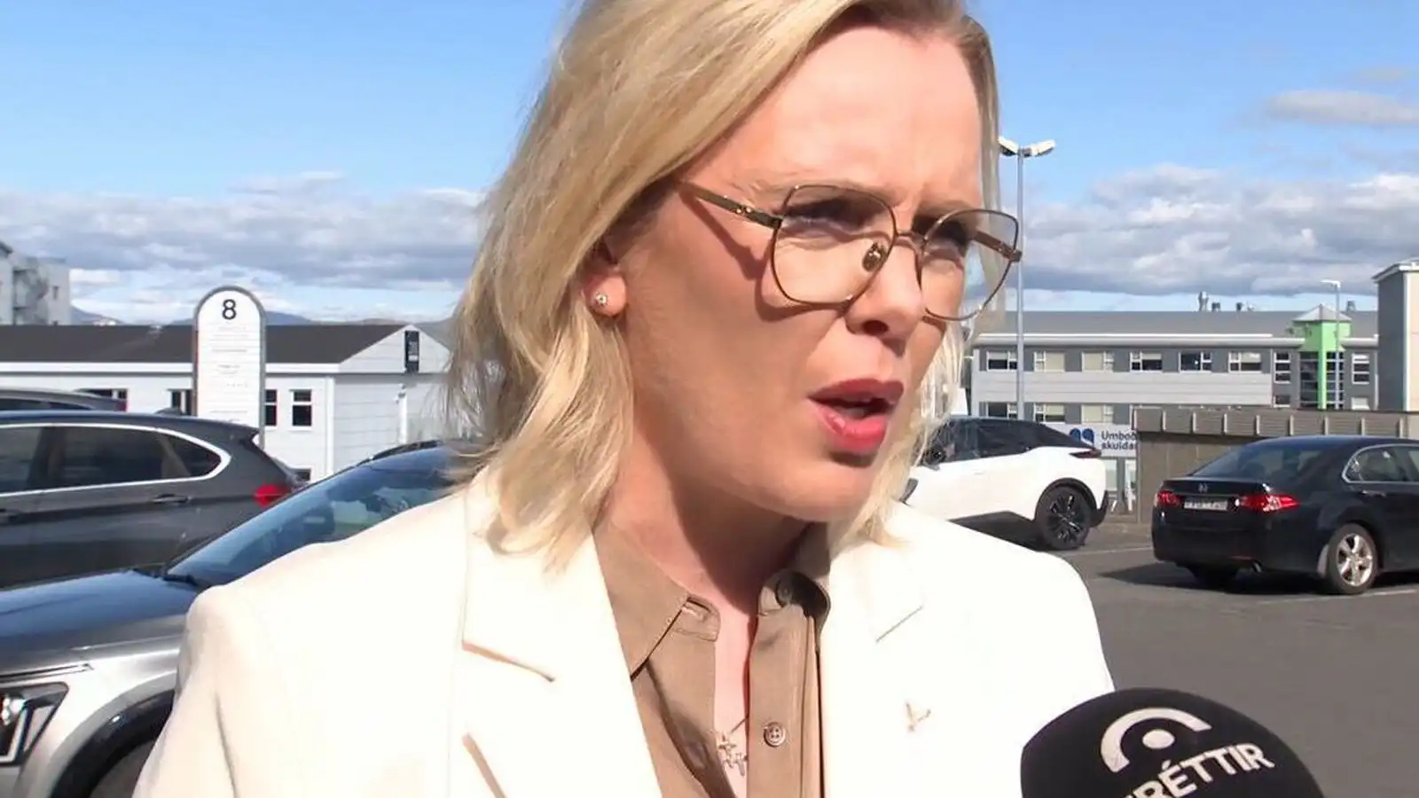 ,,Þetta eru kosninga­her­ferðar­fundir Krist­rúnar Frosta­dóttur fyrir Já til að sjá'' - Vísir