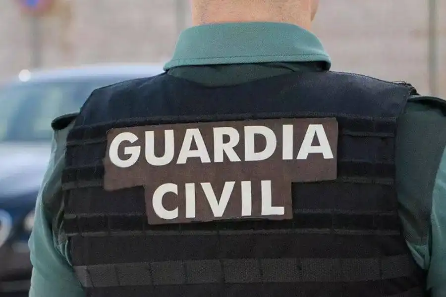 Thief arrested after violent robbery at Mogán shopping centre