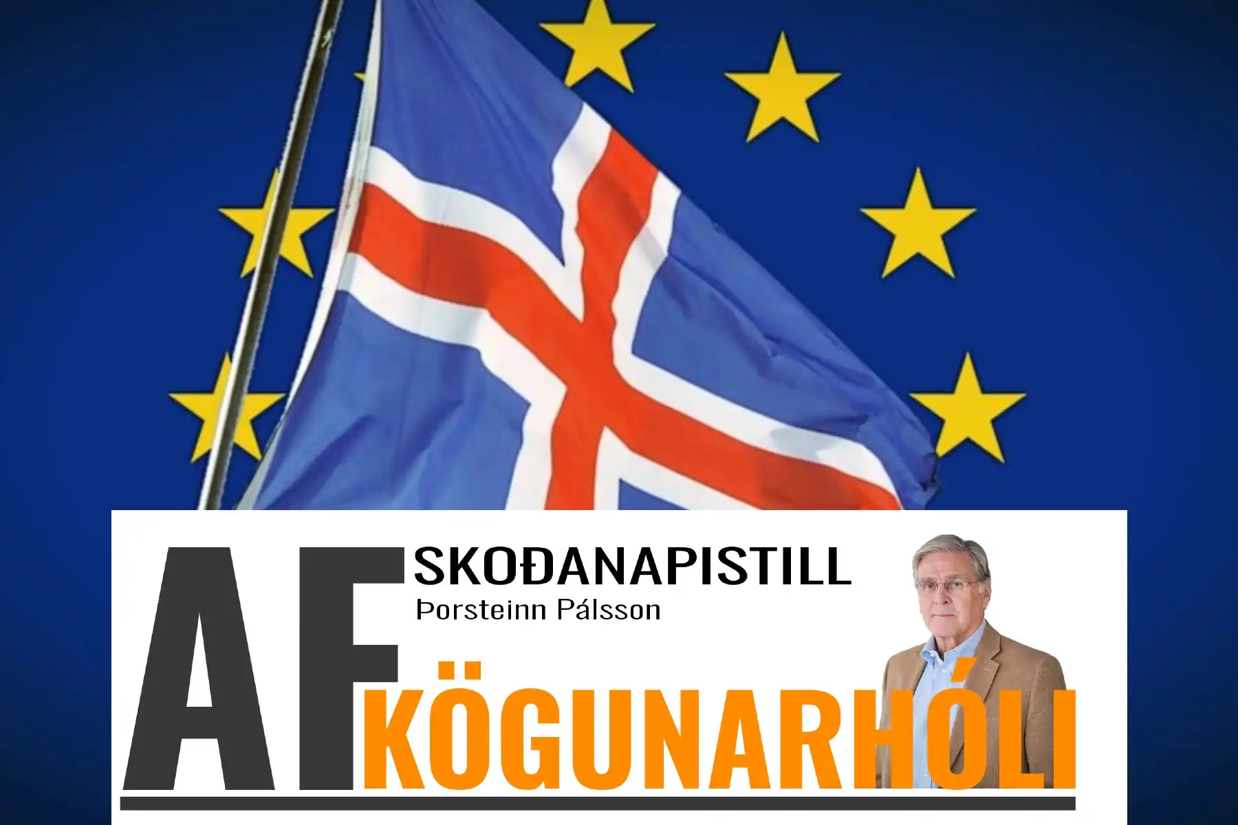 Þorsteinn Pálsson: Bændur heimtuðu nei – við getum þetta sjálf! – Er það svo?