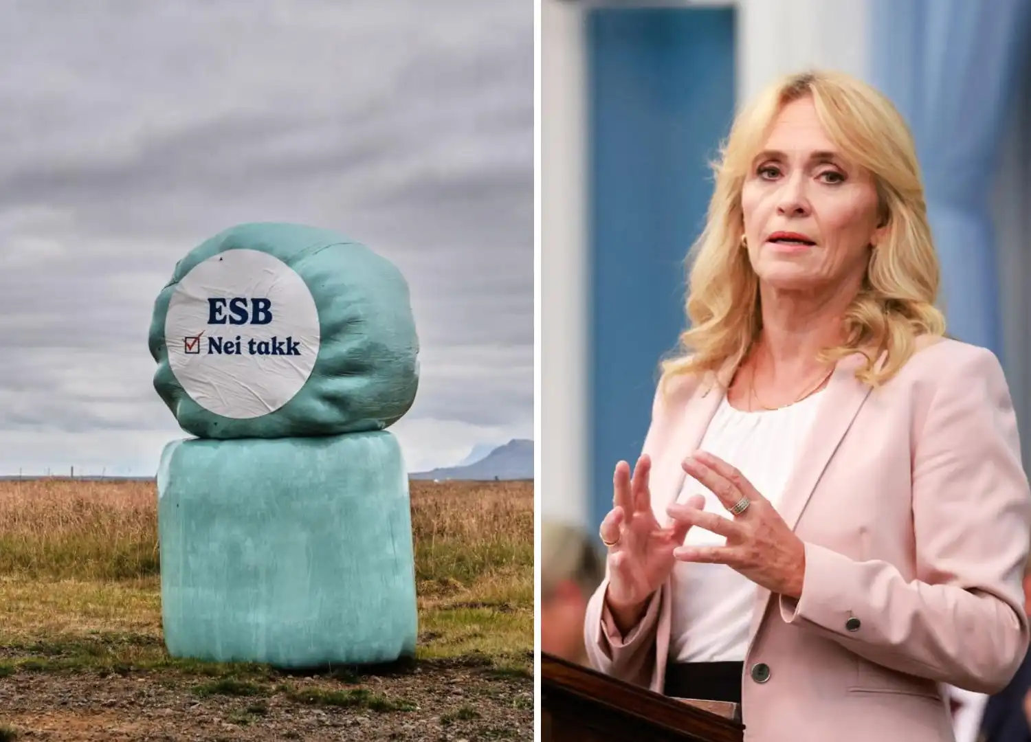 Þorsteinn Pálsson skrifar: Nýjar leiðir eða plastrúllubaggapólitík