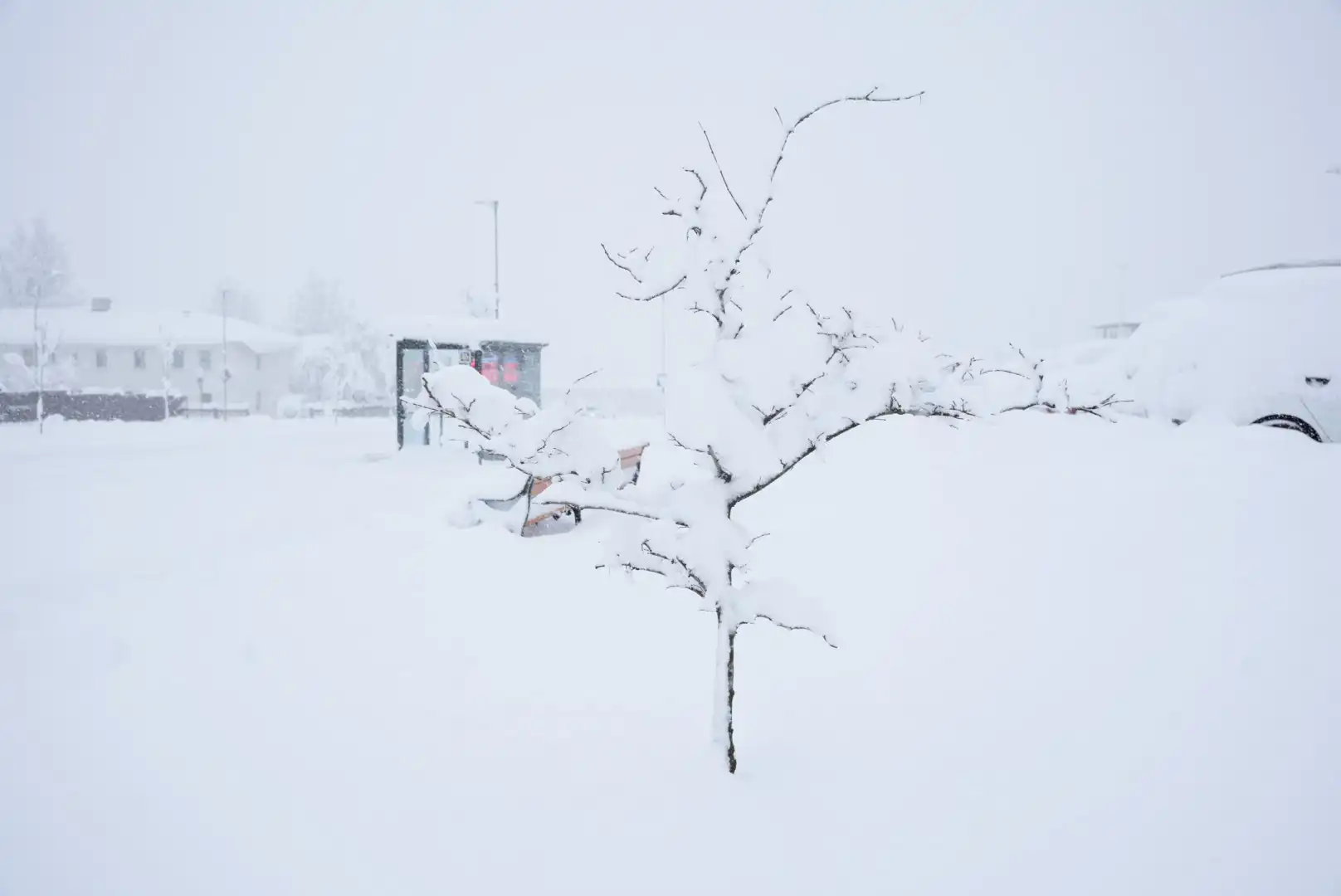 Þráir að komast í kuldann á Íslandi - „Ég hata hita" - DV