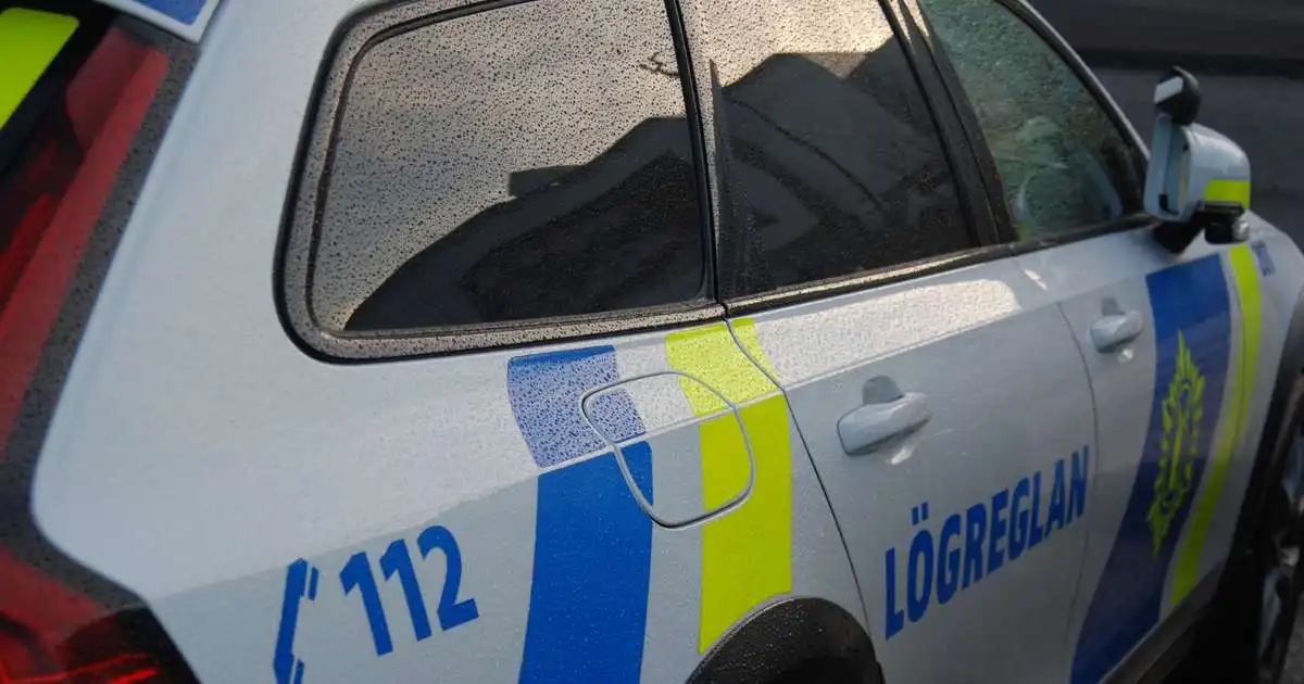 Þrjú ungmenni á skemmtistað í fylgd fullorðins