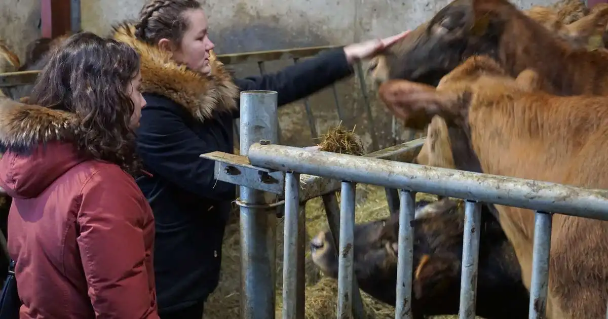 „Þú ferð örlítið út fyrir þægindahringinn en þú færð bara svo mikið í staðin“
