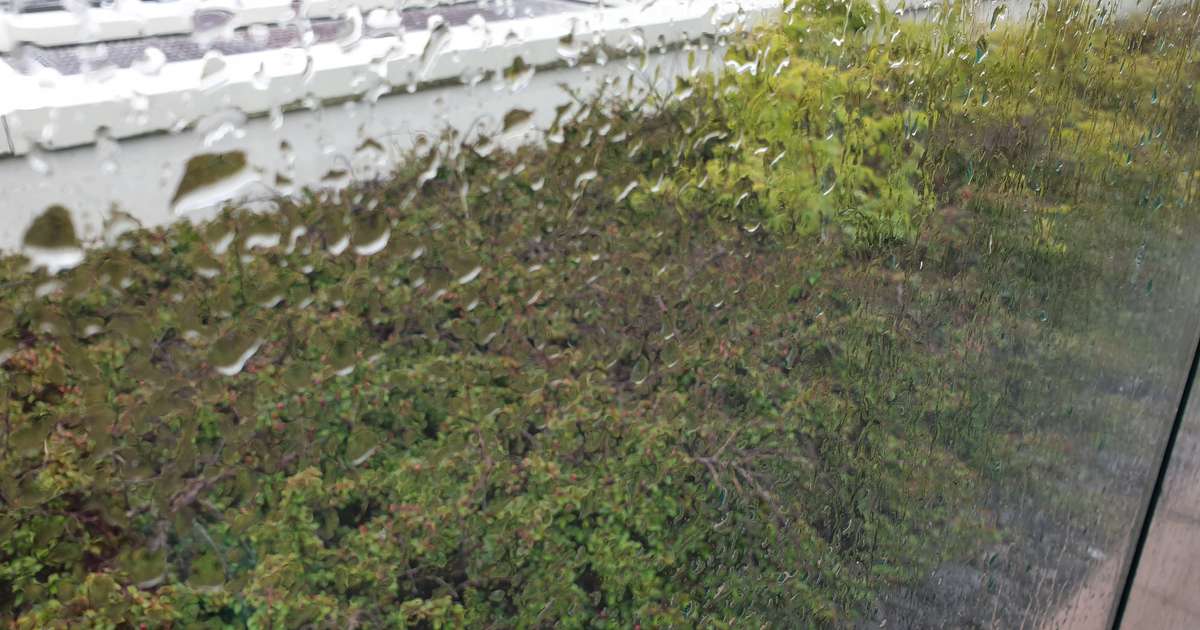 Þungskýjað suðvestanlands en glittir í sól norðaustanlands