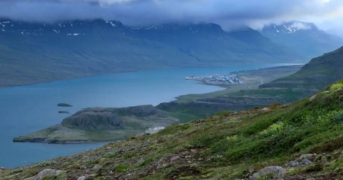 Þurftu að slátra fleiri eldislöxum vegna marglyttna