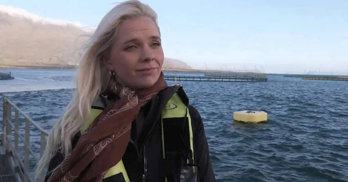 Tímalína uppbyggingar fiskeldis í Seyðisfirði óljós