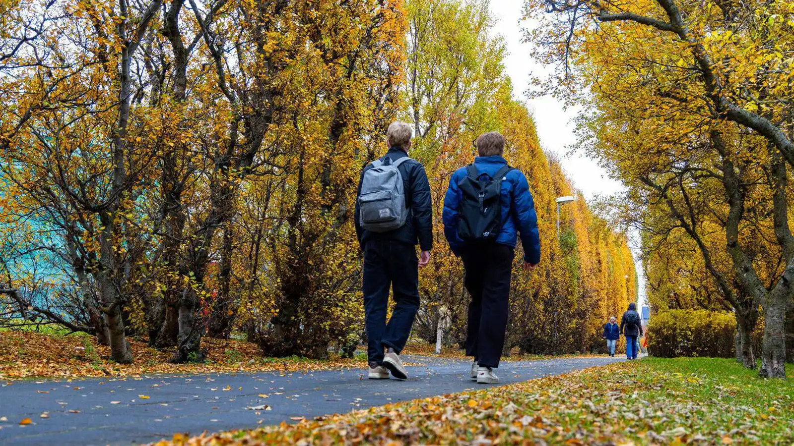 Tíu þúsund börn búi á heimilum undir lágtekjumörkum - Vísir