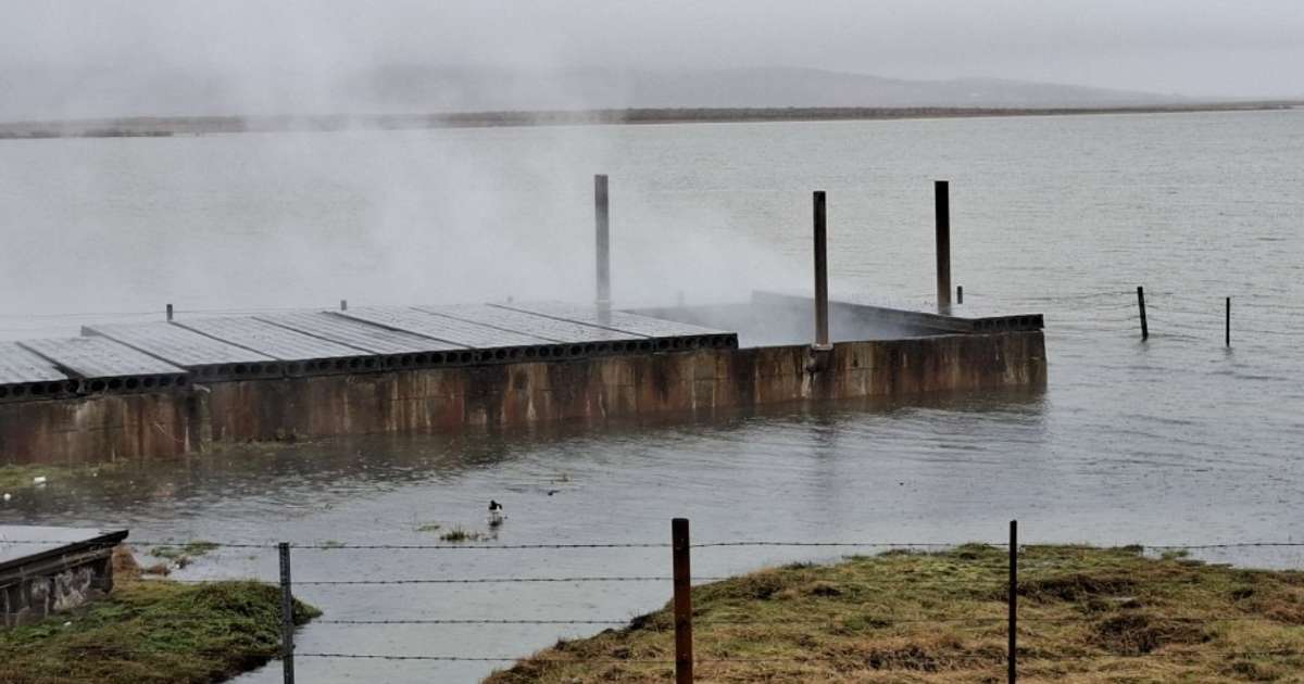 Tjaldapar með hreiður við hverinn á Laugarvatni