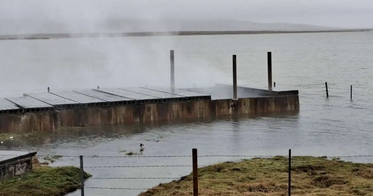 Tjaldapar með hreiður við hverinn á Laugarvatni