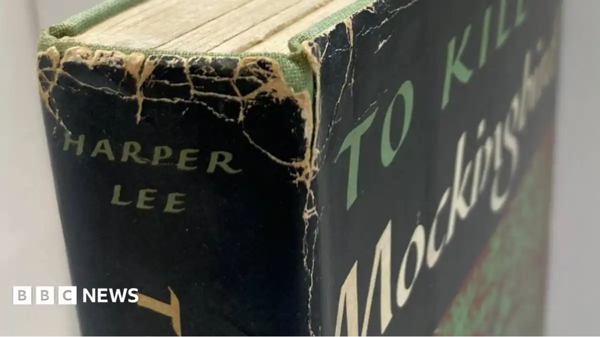 To Kill a Mockingbird first edition found in London Oxfam shop