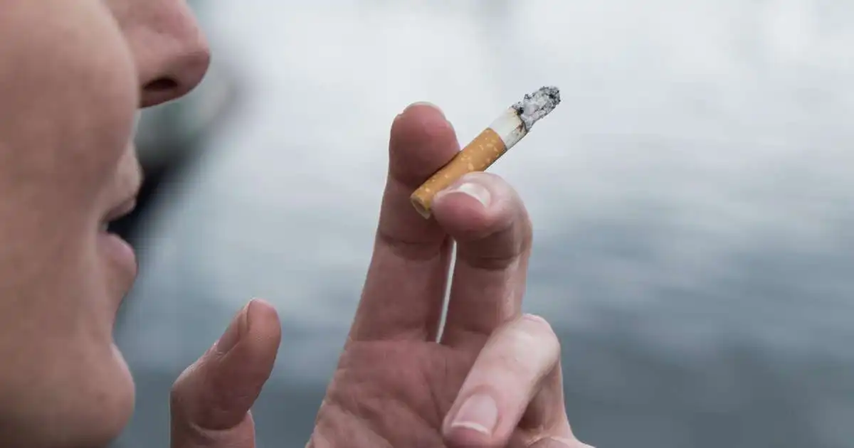 Tollgæsla gerði 19 tonn af tóbaki upptæk og um milljón vindlinga